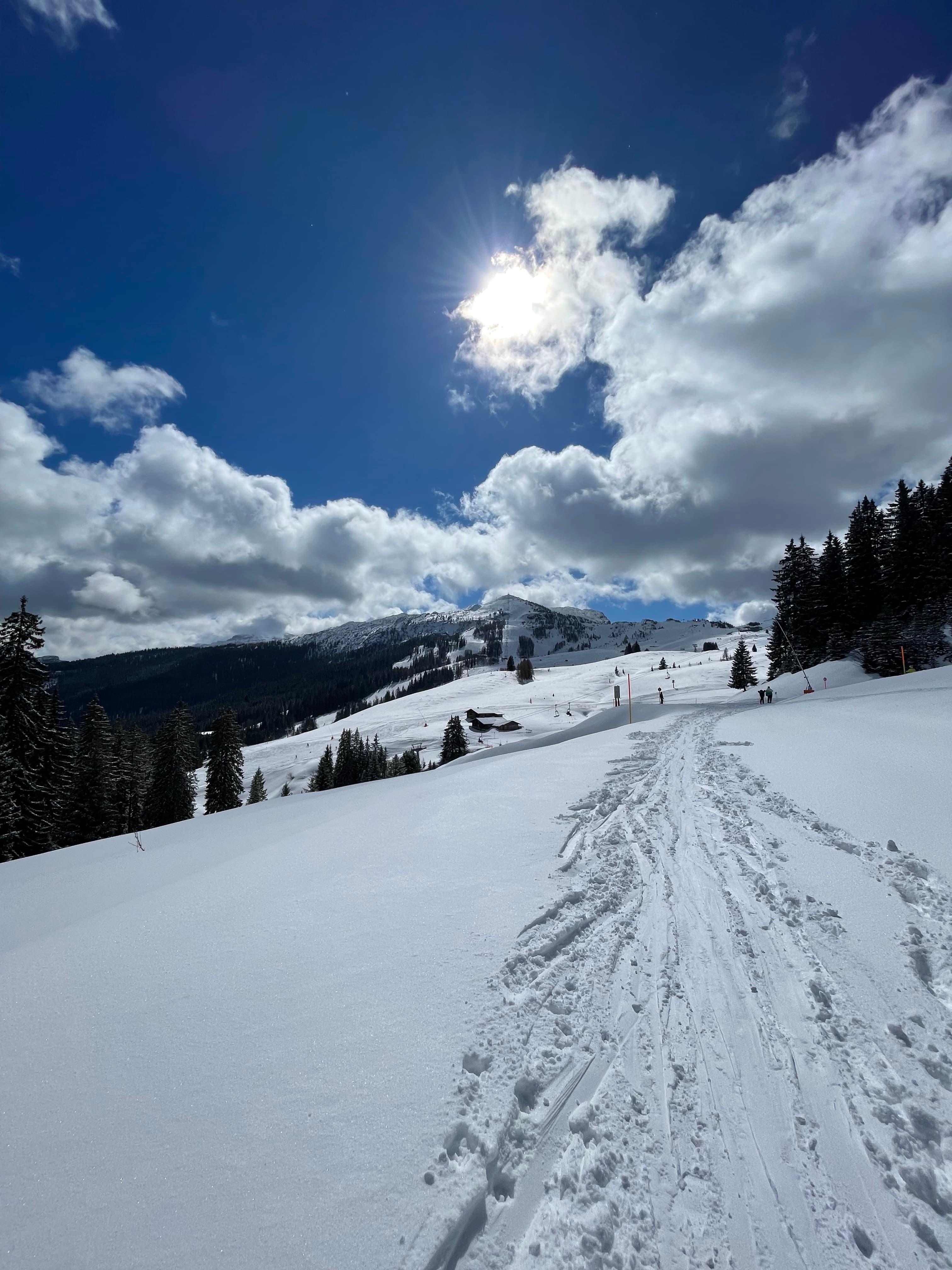 Picture of Austrian Mountains